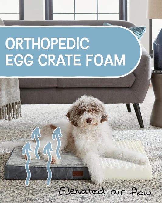 Loya Crafts Dog Bed for Dogs, Bed with Egg Crate Foam Support and Non-Slip Bottom, Waterproof and Machine Washable Removable Pet Bed Cover