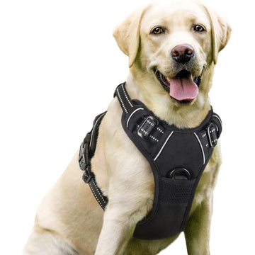 Loya Crafts Dog Harness, No-Pull Pet Harness with 2 Leash Clips, Adjustable Soft Padded Dog Vest, Reflective No-Choke Pet Oxford Vest with Easy Control
