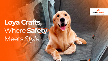 How to Choose the Right Dog Car Seat Cover