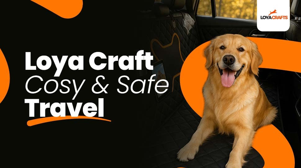The Ultimate Guide to Dog Back Seat Covers