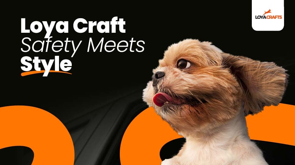 How to Choose the Right Dog Car Seat Cover