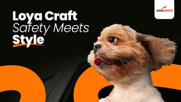 How to Choose the Right Dog Car Seat Cover