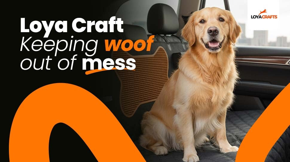 How to Install a Dog Car Seat Cover in Your Car