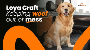How to Install a Dog Car Seat Cover in Your Car