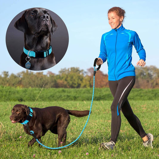 Loya Crafts Reflective Dog Collar Padded with Soft Neoprene Breathable Adjustable Nylon Dog Collars for Small Medium Large Dogs (Medium (Pack of 1), Blue Collar+Leash)